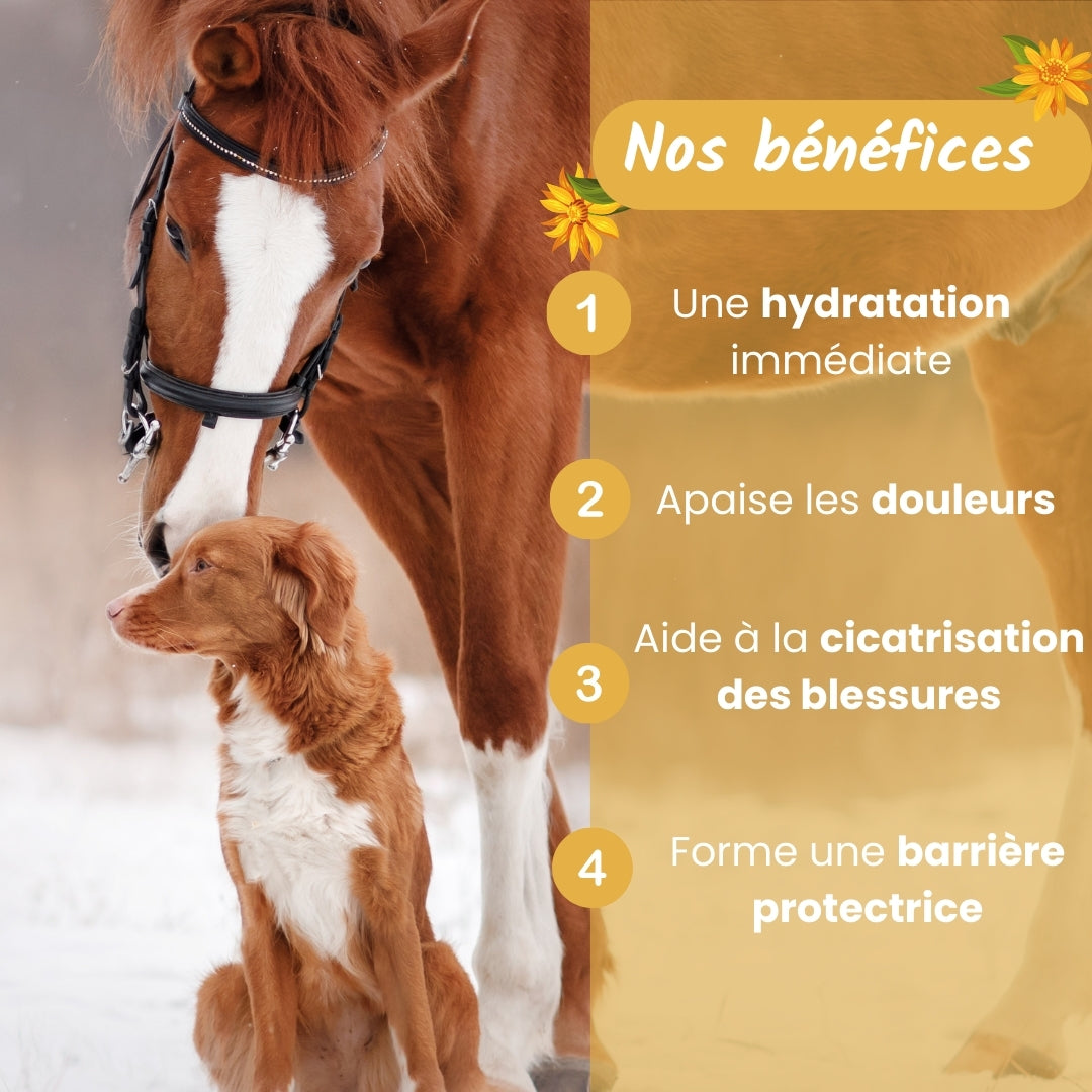 Baume Guérisseur - soulage et protège votre chien