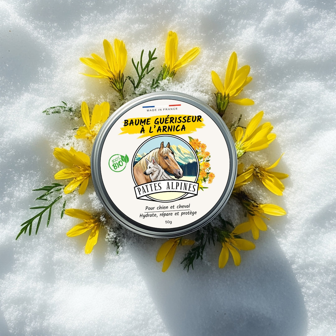 Baume Guérisseur - soulage et protège votre chien