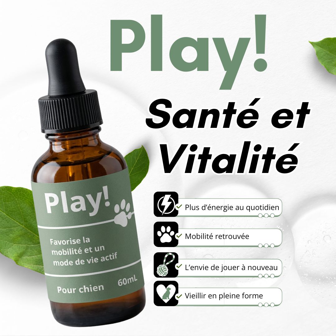 Play! - le protocole santé et vitalité de votre chien