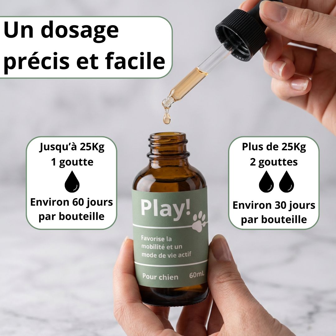Play! - le protocole santé et vitalité de votre chien