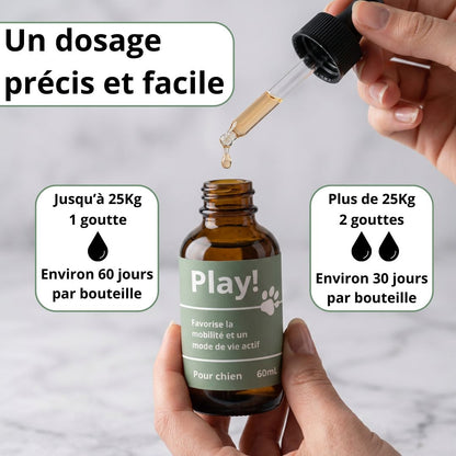 Play! - le protocole santé et vitalité de votre chien