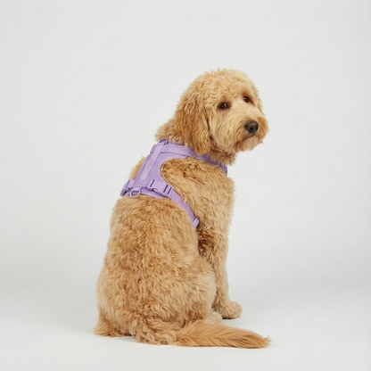 Lilas Doux