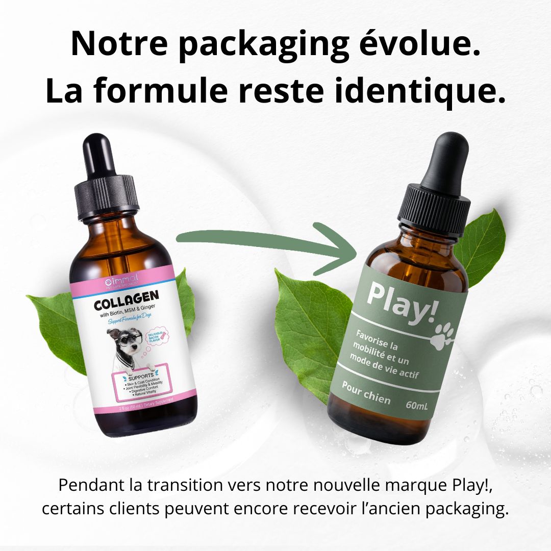 Play! - le protocole santé et vitalité de votre chien