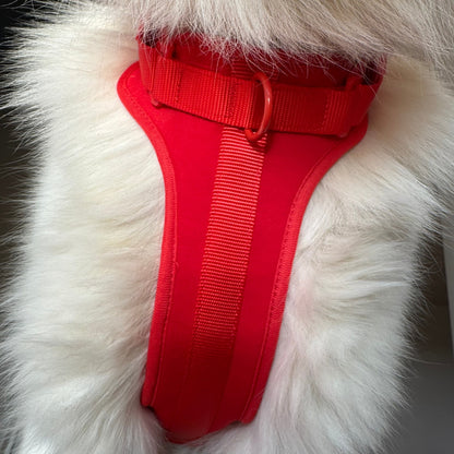 Rouge Énergie