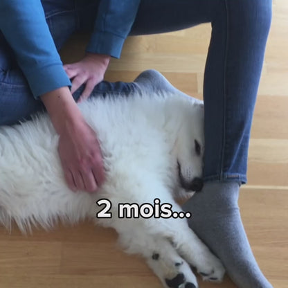 Play! - le protocole santé et vitalité de votre chien